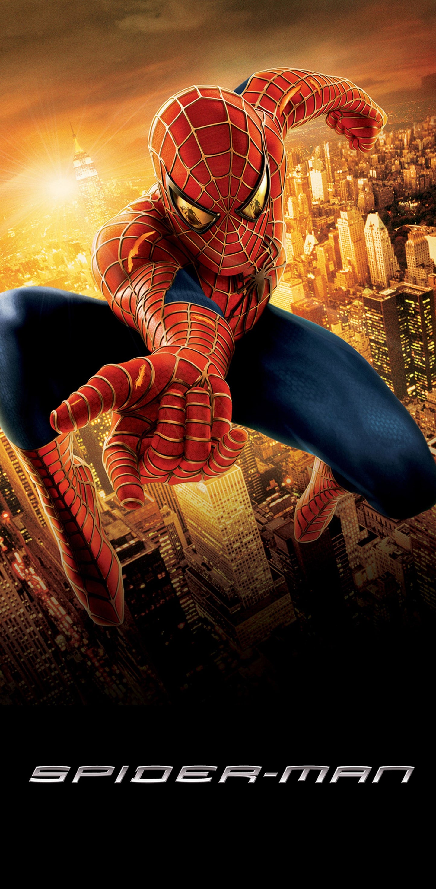 Cover Mat pour vitre flipper SPIDERMAN