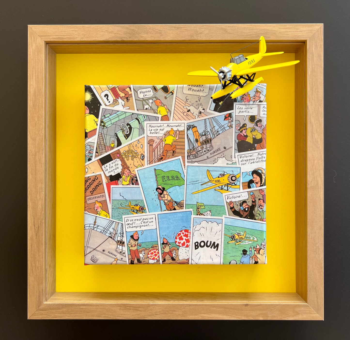 Cadres et Toiles (TINTIN ETOILE MYSTERIEUSE)