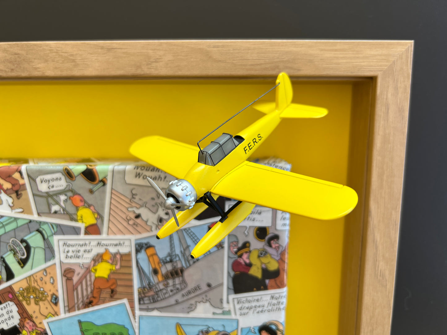 Cadres et Toiles (TINTIN ETOILE MYSTERIEUSE)