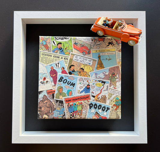 Cadres et Toiles (TINTIN AU TIBET)