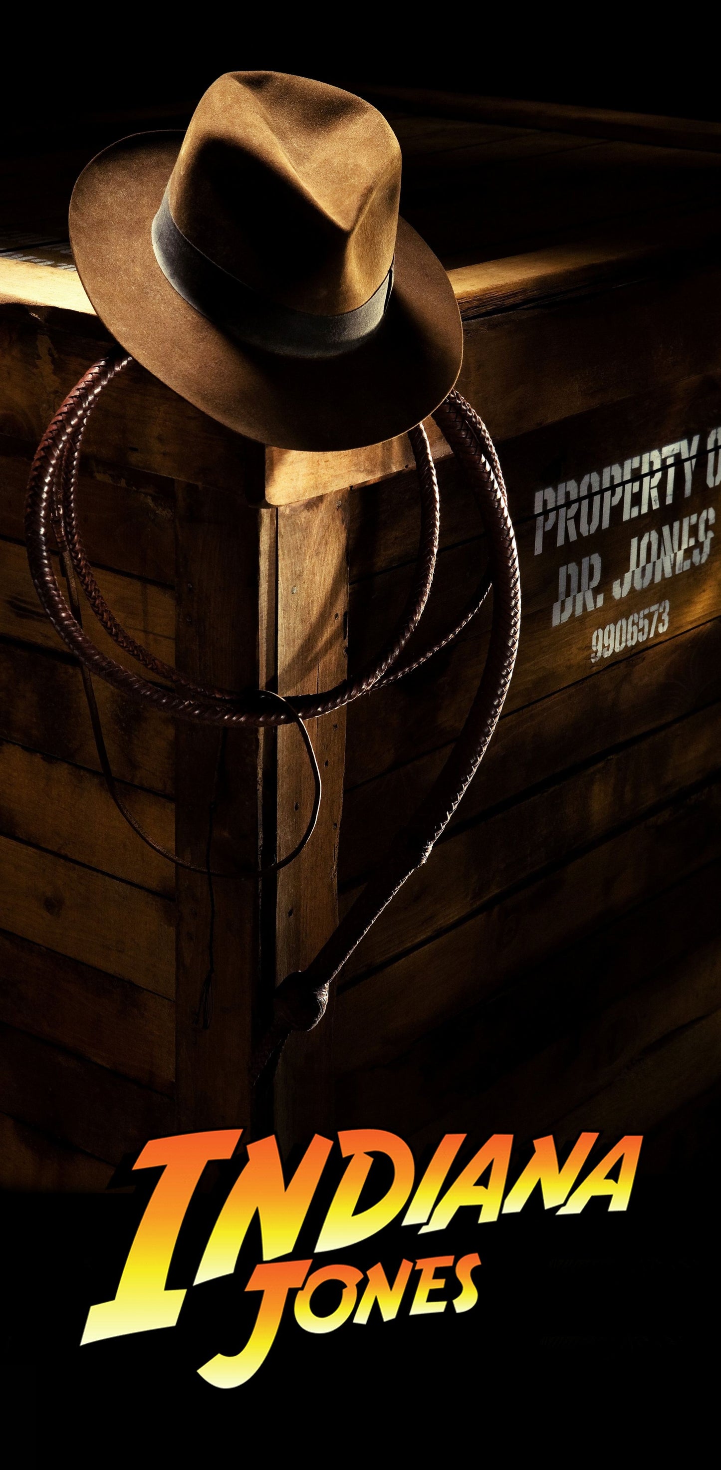 Cover Mat pour vitre flipper INDIANA JONES